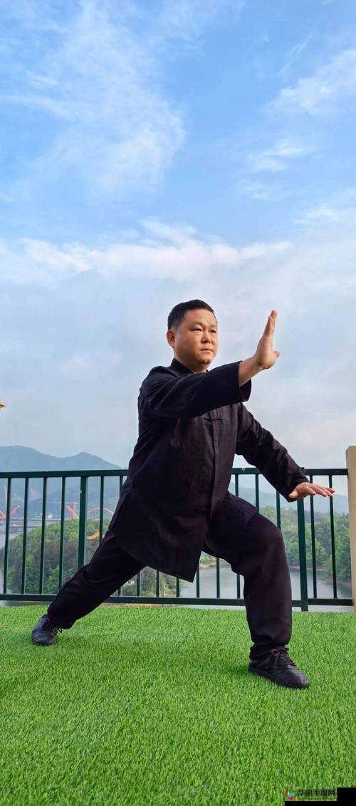 剑影太极，三少爷在黑白世界中沉沦与探索的传奇之旅