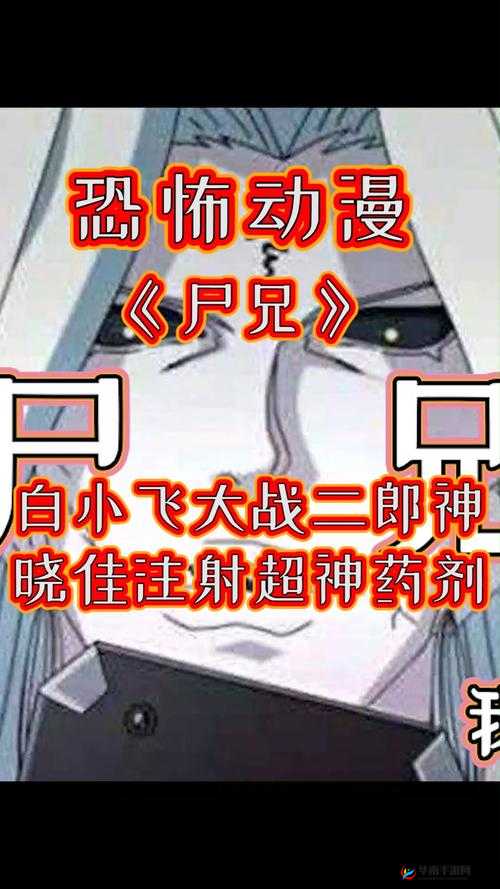 白小飞大冒险，深入解析晓佳猎人的独特技能与战斗应用