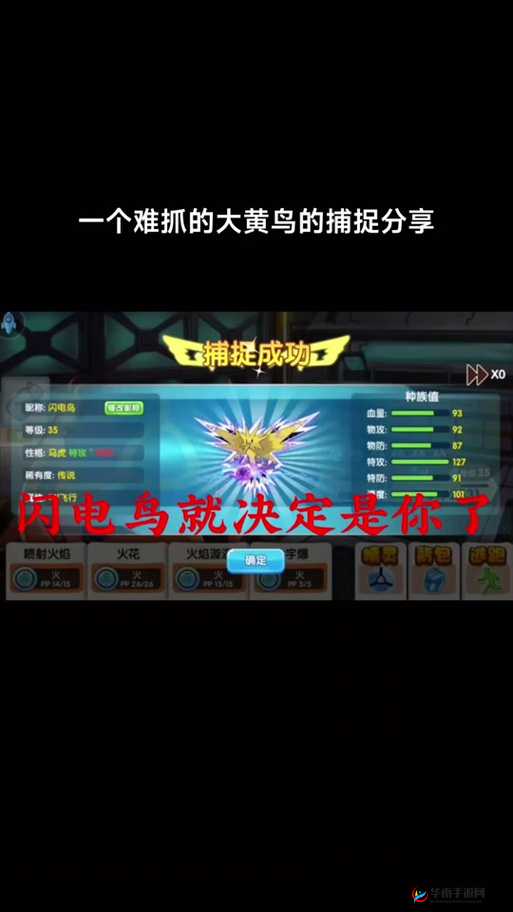 闪电鸟震撼降临！精灵战士们，揭秘天空王者全面抓捕策略与攻略