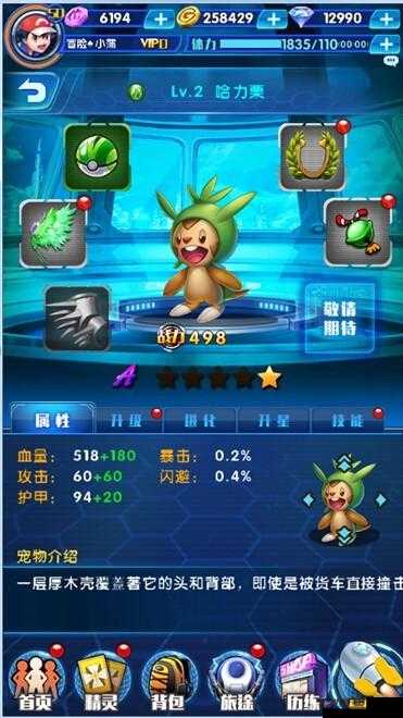宠物小精灵战力飞跃攻略，深度解析洗炼技巧与高效资源管理艺术