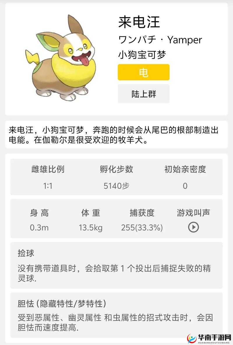 宠物小精灵战力提升攻略，揭秘宠物升级技巧，让你的精灵伙伴变得更加强大