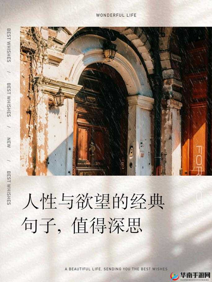 肉妇春潮干柴烈火色欲 96：探究欲望背后的人性与情感