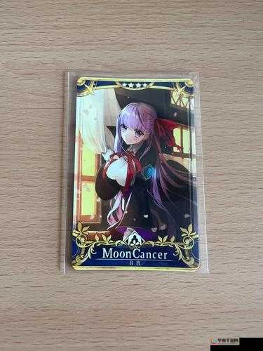 命运冠位指定FGO CCC联动，全面揭秘BB角色技能与特性详解