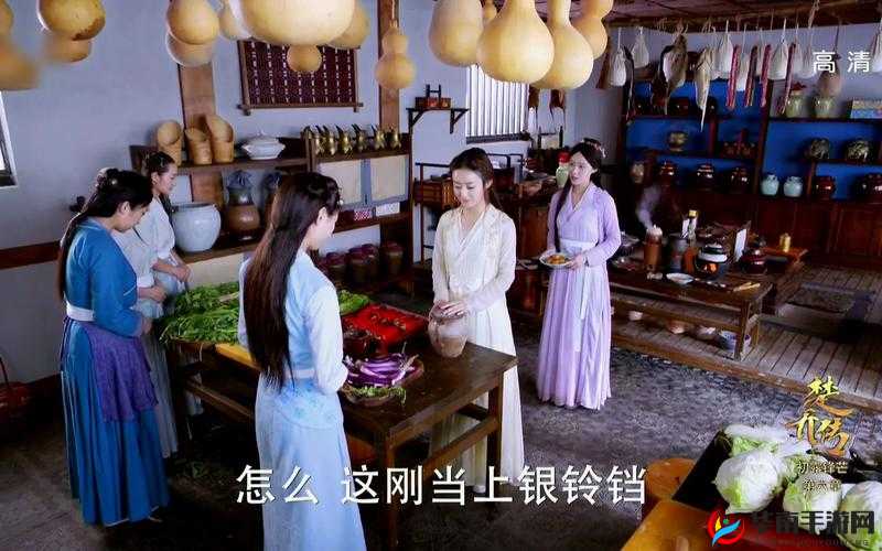特工皇妃楚乔传宠物系统深度剖析，掌握资源管理艺术，玩转宠物养成