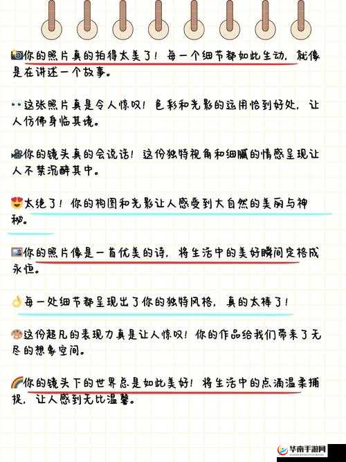 干 B 网：独特视角呈现精彩内容与独特魅力