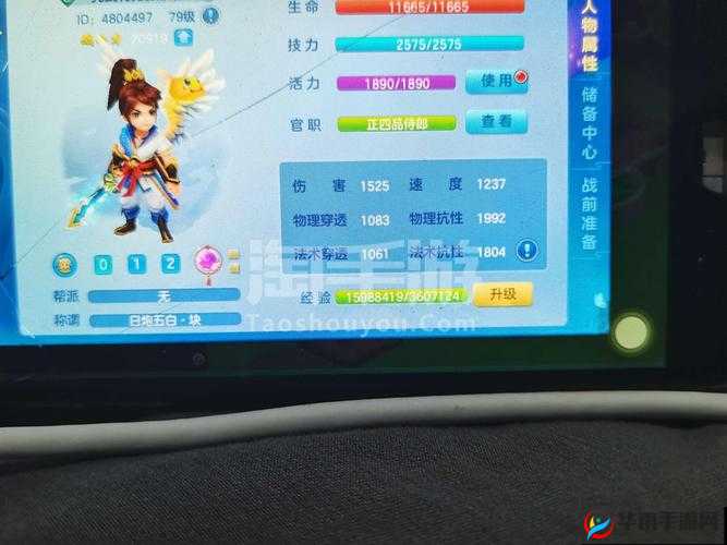 梦想世界3D游戏攻略，全面揭秘高级兽决的高效获取技巧与策略
