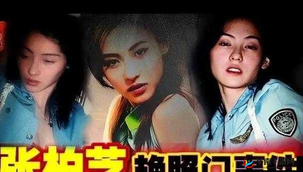 柏芝不雅照：重口味还是娱乐至死？