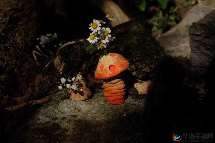 蘑菇头顶开花缝：奇妙自然现象背后的故事与奥秘