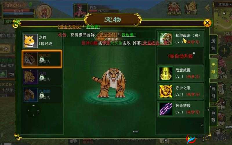 热血江湖手游深度解析，宠物喂养系统玩法技巧与攻略大全