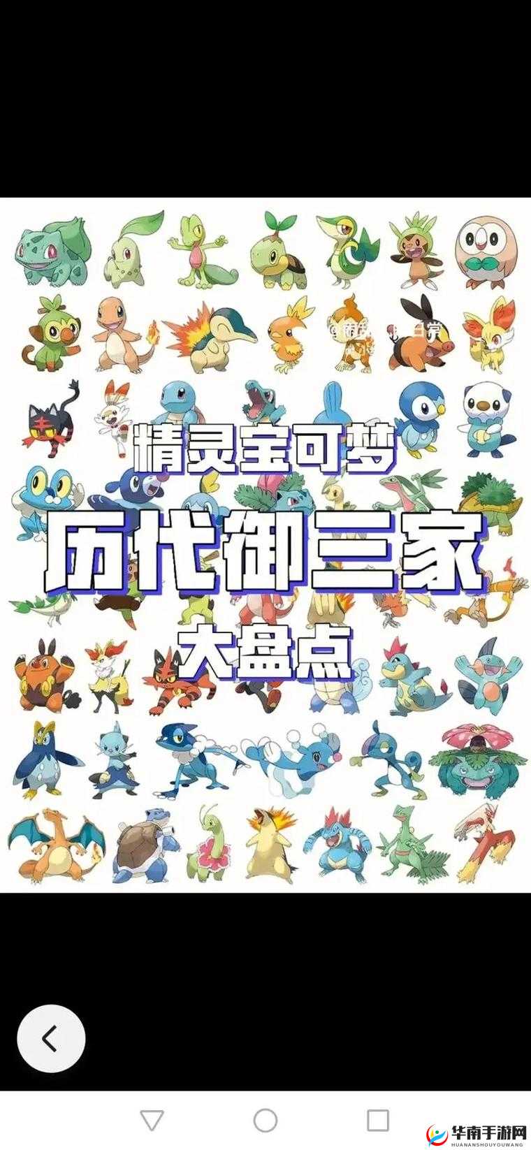全面解析口袋超萌宠物进化系统，玩法细节与内容深度揭秘