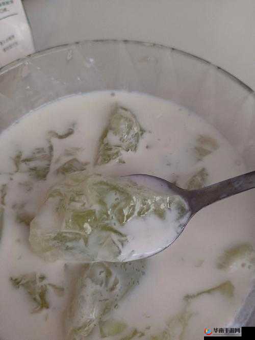 豆浆撞奶 by 羊马驼：独特饮品的奇妙碰撞