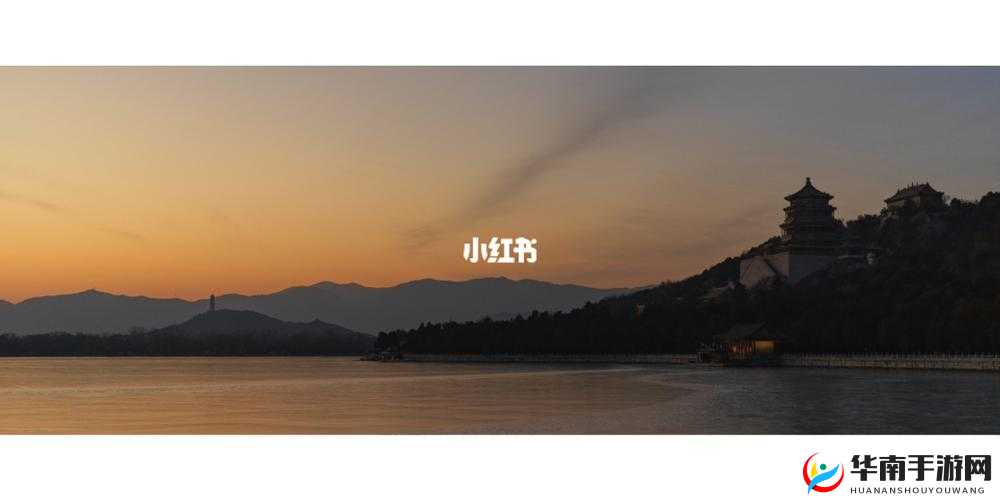 氺茤茤 91 相关：独特魅力引发诸多探讨