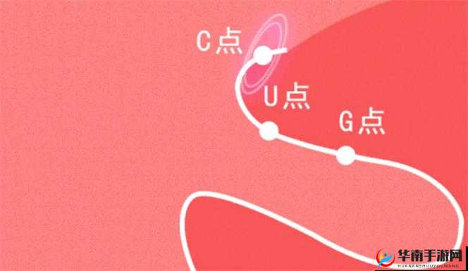 新手自 W 到高 C 的探索方法及相关照片示例