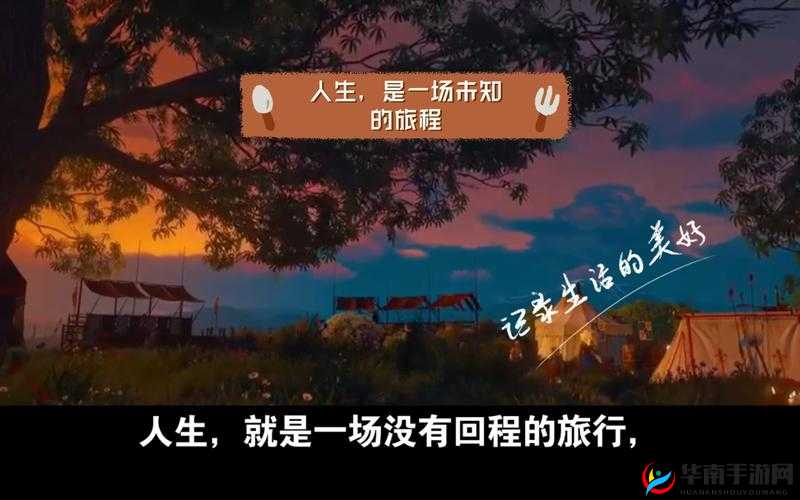 大人的游戏：一场充满未知与挑战的奇妙旅程