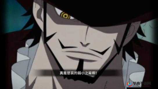 航海王激战深度解析，世界第一剑豪鹰眼米霍克角色全面介绍