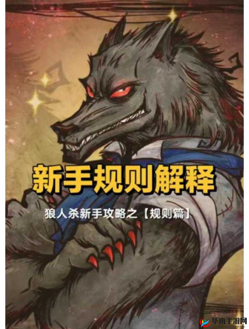 天天狼人杀高手攻略，掌握高效找狼技巧，精准识别狼人身份策略指南