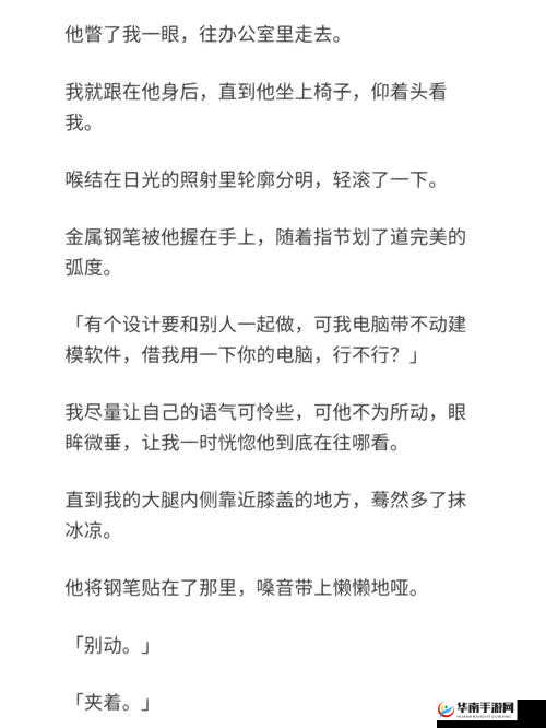 GB 校霸夹钢笔：独特魅力背后的青春故事
