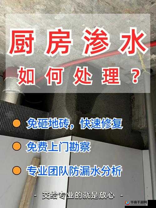 厨房一次又一次的索要摄入：探究背后的深层原因与影响