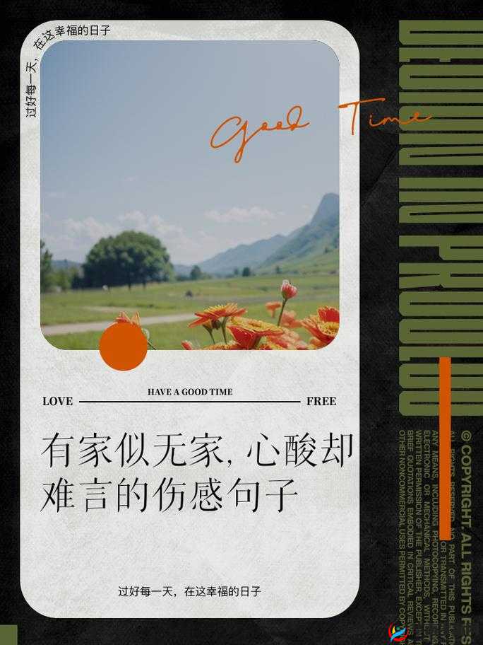 找一个大叔玩玩还是找个家：寻找情感归宿的抉择
