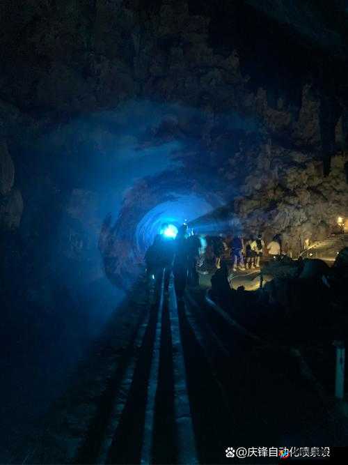 毛片软件：探索未知世界的神秘之旅