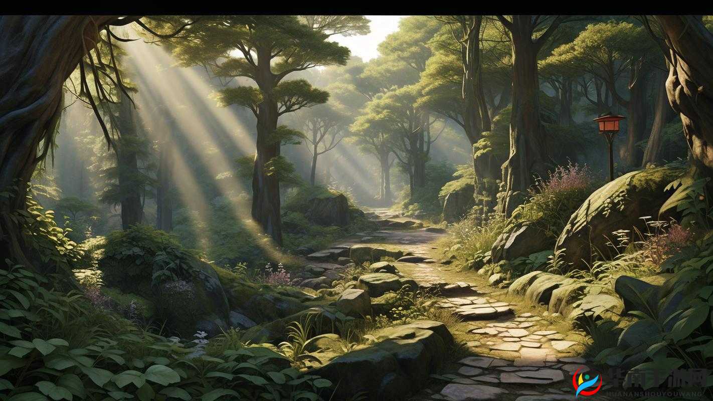 XXXX69 ：开启全新精彩之旅的神秘密码