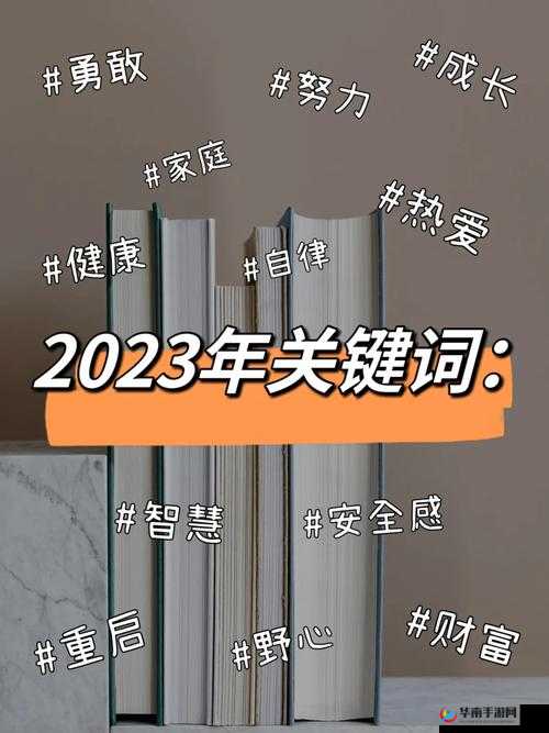 2023年度关键词聚焦，陪伴的力量促进个人与社会的共同成长