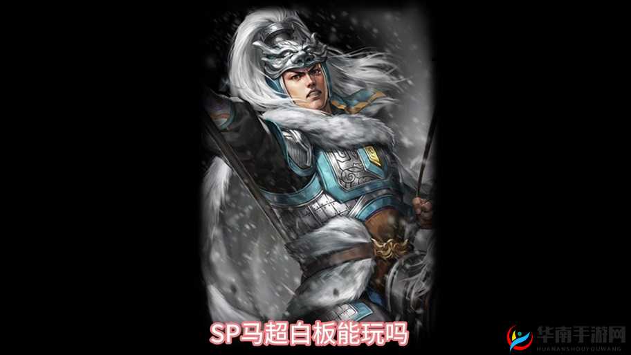 极无双手游深度剖析，勇猛无双的武将马超技能与特点解析