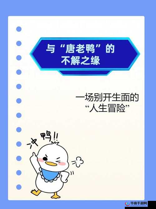 晓可耐勾搭外卖：一场别开生面的意外互动引发关注