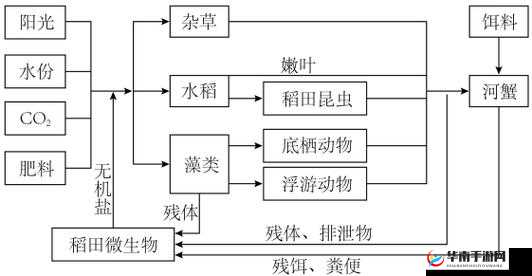 人与畜禽的最新业务：打造可持续的农业生态系统