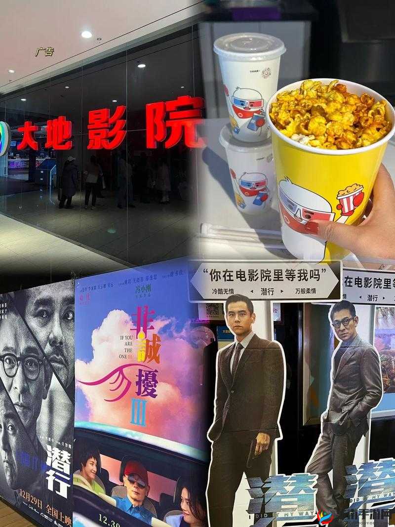 大地资源电影中文在线观看：提供丰富精彩的影视内容在线观看平台