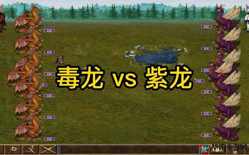 英雄无敌战争纪元，全面解析毒龙打法策略与技巧攻略