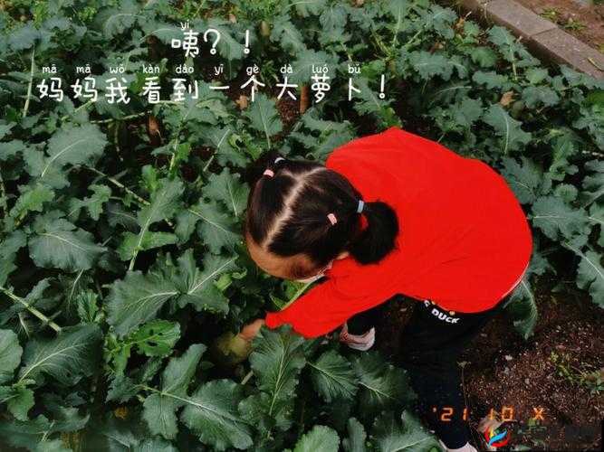 挤牛奶拔萝卜怎么拔：关于其方法步骤的详细探讨