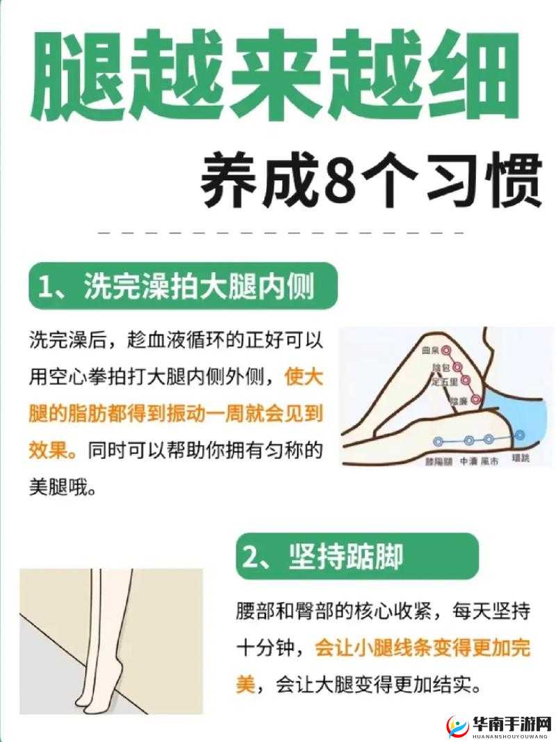 伽罗ちゃんが腿脚法：极致美腿的魅力与技巧