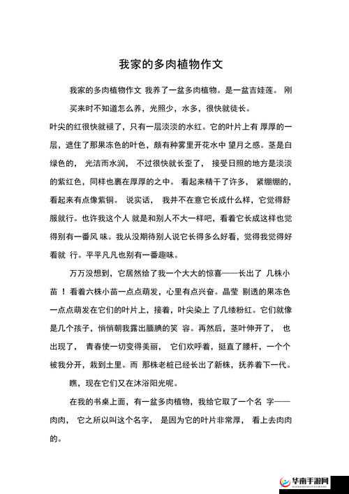 整篇都是车的多肉 1V3：一场多肉植物的激情派对