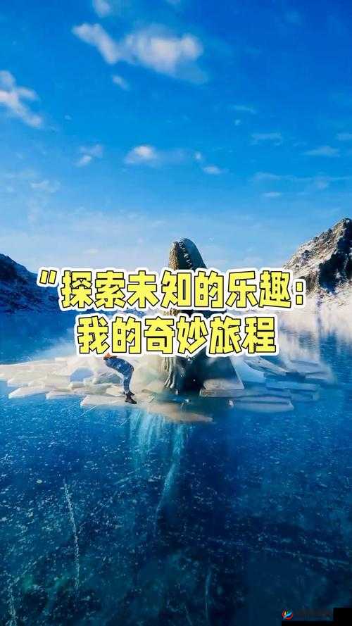 人与另类 Z0Z XHD：探索未知世界的奇妙旅程
