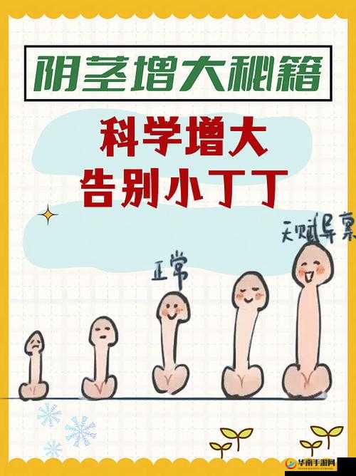 怎么能让自己的鸡变大变长：科学方法与注意事项
