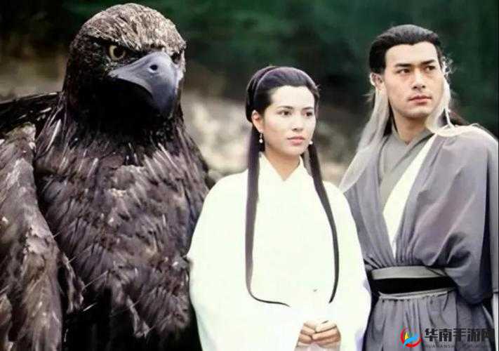 全民武馆侠客深度解析，神雕大侠角色定位与特色全览
