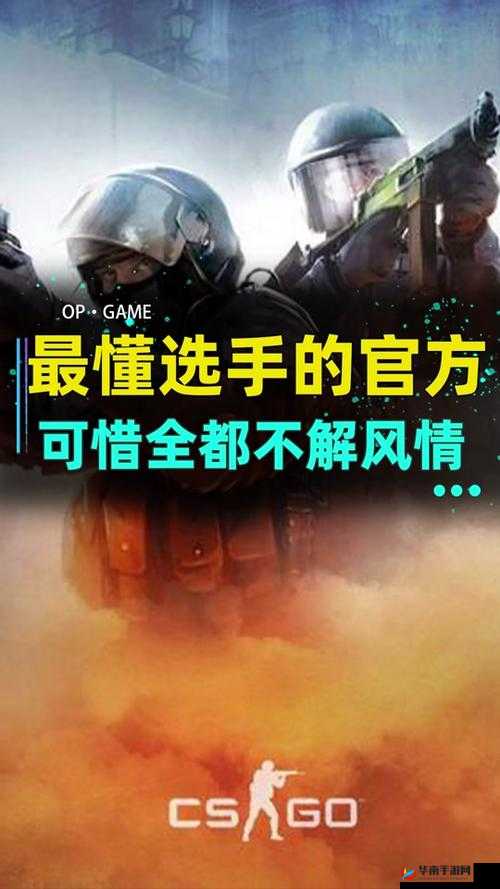 俄罗斯卖 csgo 的网站免费进入：探寻其背后的秘密与机遇