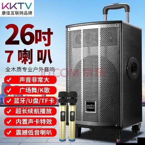 伊春园 2024 入口直达音响：畅享高品质音乐体验