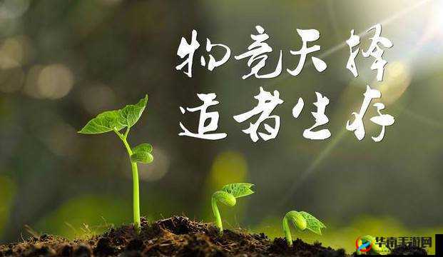 达尔文进化岛4月14日终极封测，物竞天择，适者生存法则震撼上演