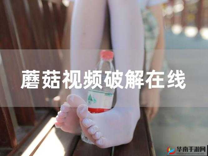 震惊蘑菇视频背后的惊人秘密：老师的秘密花园