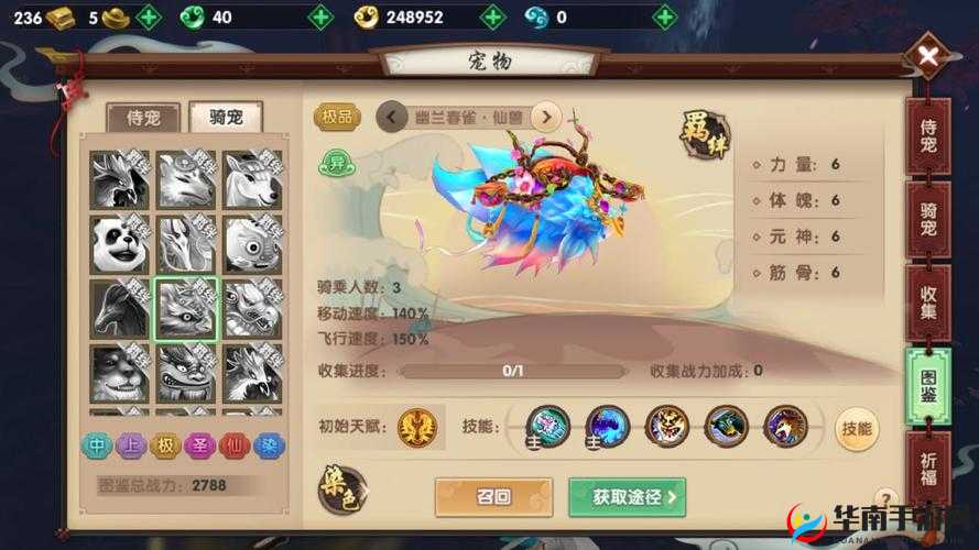 寻仙手游皇陵穹顶副本高效通关策略与技巧全面详解