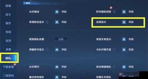 王者荣耀游戏隐私保护攻略，掌握历史战绩隐藏秘籍