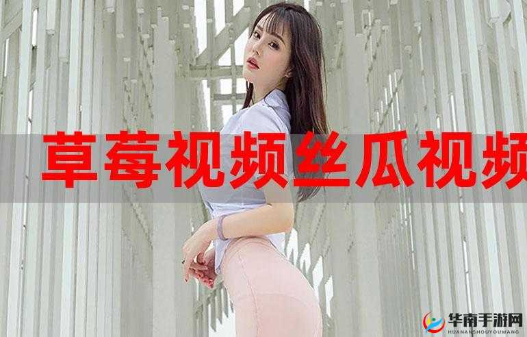 草莓丝瓜 APP 视频污：探索别样精彩与刺激