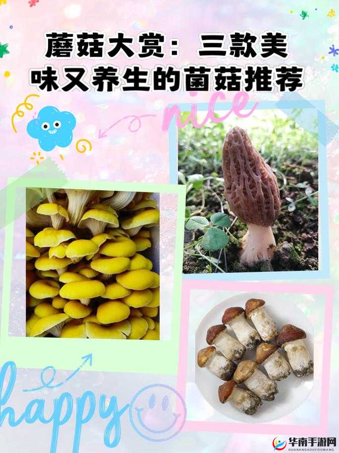 精产国蘑菇品一二三产品区：探索自然的奥秘，品味健康的美味