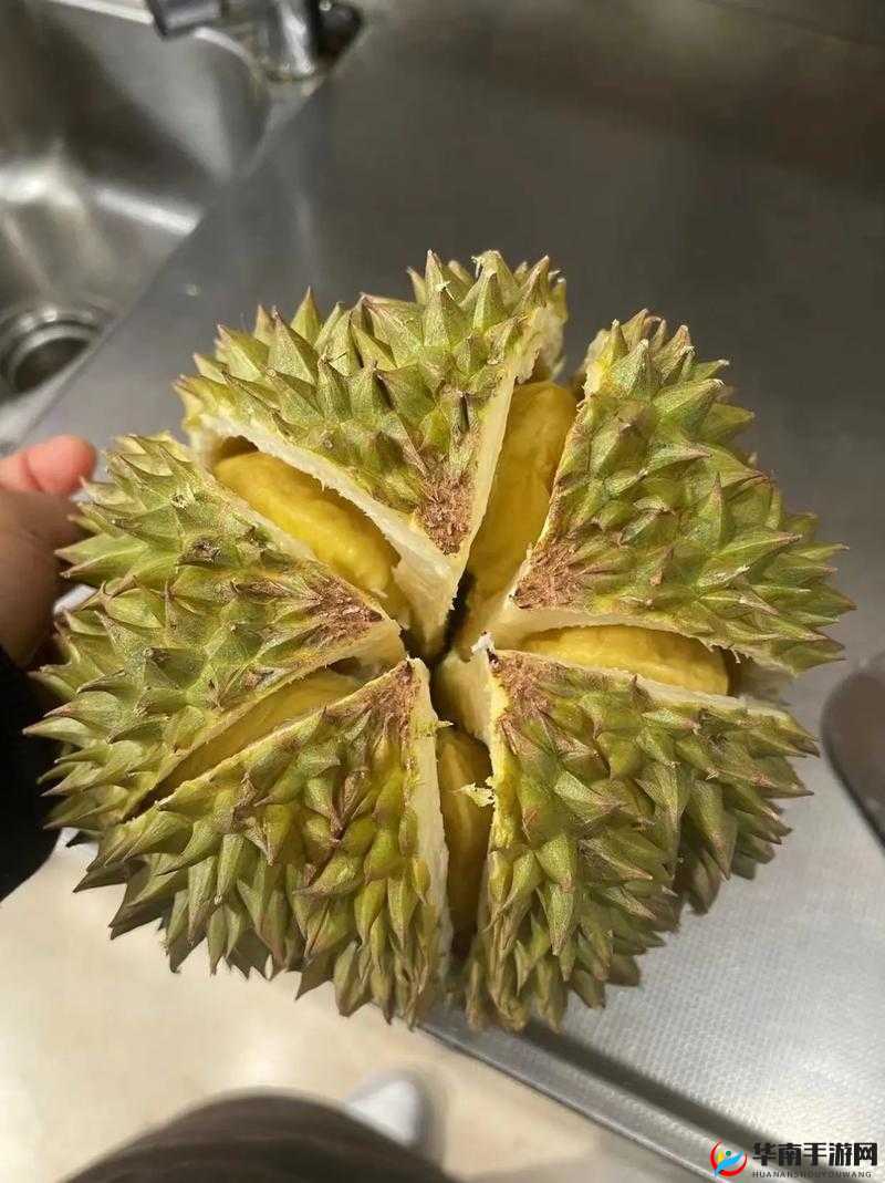 豆奶富二代榴莲草莓丝瓜：美味水果与独特人物的奇妙组合