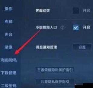 王者荣耀隐身功能设置方法及上线时间隐藏技巧详解