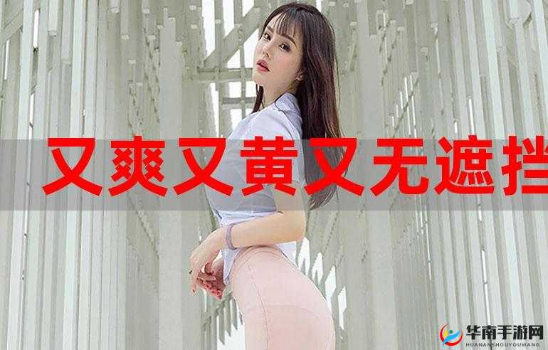又爽又黄又好看，刺激你的视觉神经