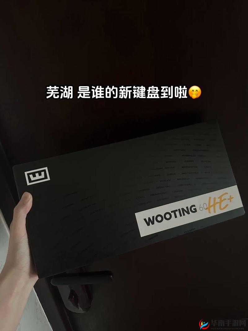 CSGO 暴躁少女免费看：精彩刺激不容错过