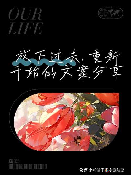 已满十八带好纸巾从此转人免费：开启全新未知的旅程